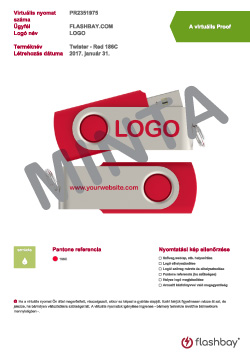 flash_drive_supplier